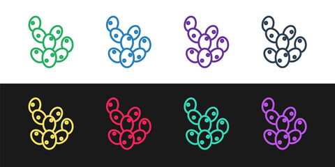 Set line Cactus icon isolated on black and white background. Vector.