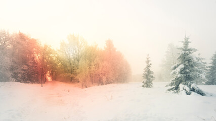 Obraz na płótnie Canvas Winter landscape in finland