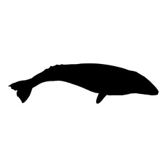 Vector Black Silhouette of Whale