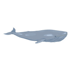 Vector Cartoon Blue Whale on White Background