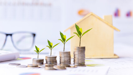 Investor of real estate.  The plants growing on money coin stack for investment home green nature background.  Investment mortgage fund finance and interest rate home loan