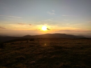 Deep forest in Europe with river and lake