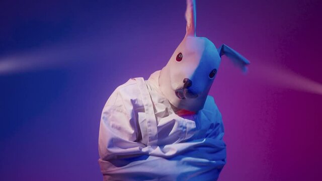 White rabbit hallucinations, man in a weird mask, mental illness and psychosis concept. Drugs, strange masked person in a colorful room. Eerie, scary monster having an attack, mental problems.