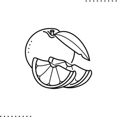 Orange fruit, Passover seder arrangement vector icon in outline