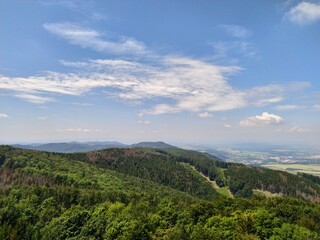 Deep forest in Europe with river and lake