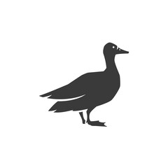 Duck side view isolated on white background vector object