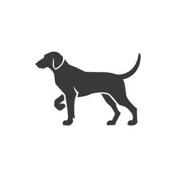 Dog side view isolated on white background vector object