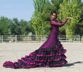 Fototapeta premium Flamenco dancer