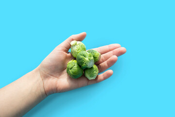 Naklejka na ściany i meble Brussels sprouts in woman hand on blue background. Isolated small cabbages.Vegetarian food.
