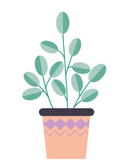 Home plants isolated on white background. National Gardening Day. Home decor. Plants in stylish pots. Urban jungle, trendy home decor.