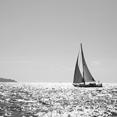 Fototapeta premium Velista