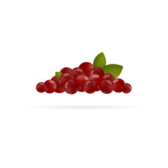 Set of cranberries with leaves on a white background. Vector illustration шт cartoon flat style