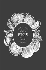 Hand drawn fig fruits design template. Organic fresh food vector illustration on chalk board. Retro fig fruit banner.