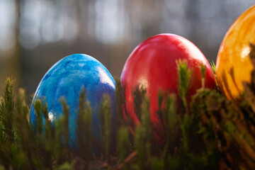 Focus on blue easter egg, three eggs on the mossy forest floor. Close up.