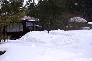 snow covered house