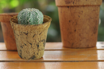 Coconut Coir Pot made from coconut fiber natural material on the table on garden background. Plants pot made from coconut fibre. Environmental Green friendly concept. Vertival banner, Free copy space.
