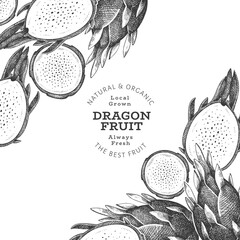 Hand drawn dragon fruit design template. Organic fresh food vector illustration. Retro pitaya fruit banner.