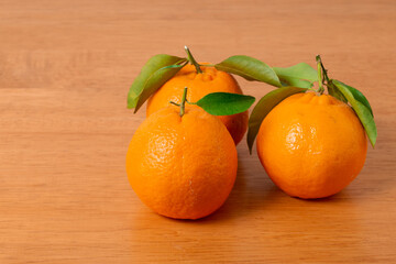 新鮮果物　ポンカン