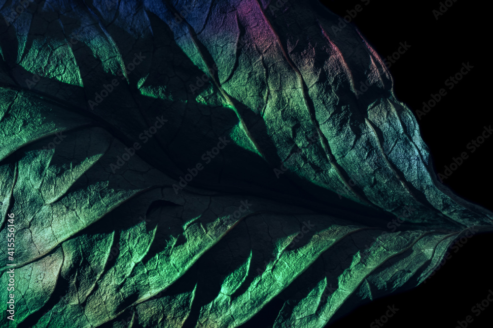 Aufkleber Close up Beautiful abstraction  leaf texture in green neon light. Minimalism retro style concept. Background pattern for design. Macro photography view.