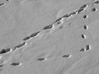 footprints in the snow, human footprints in the snow