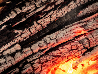 Burnt wood texture, abstract background