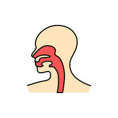 Human organ esophagus color line icon. Pictogram for web page, mobile app
