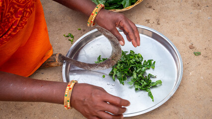 Indian women cooking food in the village