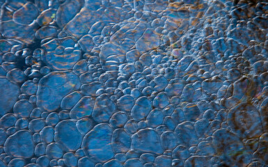 Bosque de Riofrio, Segovia, Castilla y León, España, Europa