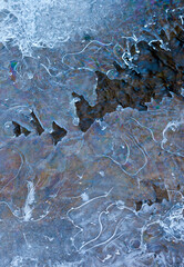 Bosque de Riofrio, Segovia, Castilla y León, España, Europa