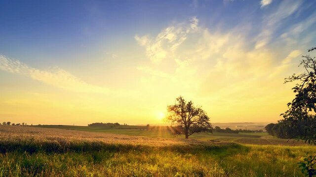 Time Lapse of the rising sun over a tree in an open rural landscape, with clouds in the blue sky beautifully playing with the rays of light
