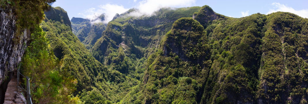 The hills from the hills