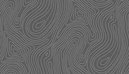 Kussenhoes Seamless vector topographic map background white on dark. Line topography map seamless pattern. Mountain hiking trail over terrain. Seamless wavy pattern. Contour background geographic grid. © RDVector