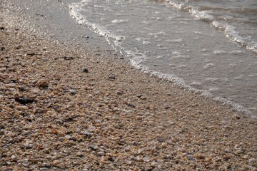 Seashells on the beach,nature background