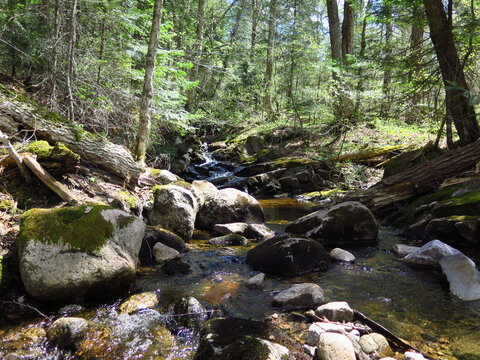 a creek in the Parc Regional de la Montagne du Diable, Quebec, Canada, May