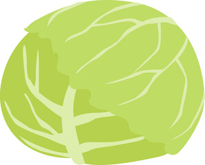 キャベツのイラスト