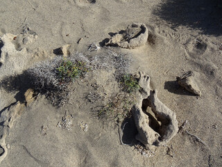 Exceptional geological 