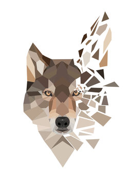 Wolfs Splitter