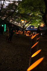 秋のイベント小倉城竹灯り