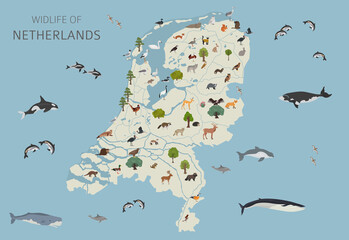Flat design of Netherlands wildlife. Animals, birds and plants constructor elements isolated on white set. Build your own geography infographics collection