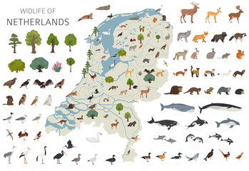 Flat design of Netherlands wildlife. Animals, birds and plants constructor elements isolated on white set. Build your own geography infographics collection