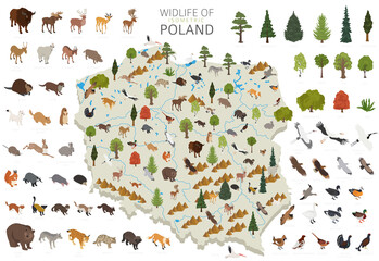 Isometric 3d design of Poland wildlife. Animals, birds and plants constructor elements isolated on white set. Build your own geography infographics collection.