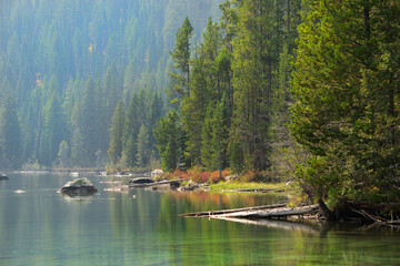 The calm waters of String Lake in Grand Teton National Park in Wyoming with large pine trees and mountains surrounding.
