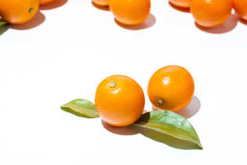 新鮮果物　金柑