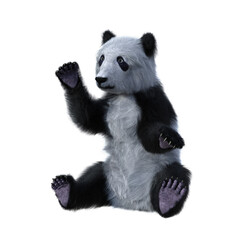 Cute Panda cub sitting. 3d illustration isolated on white background.