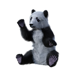 Cute Panda cub sitting. 3d illustration isolated on white background. © IG Digital Arts