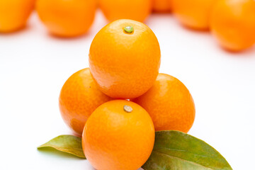 新鮮果物　金柑