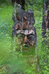 In the Altai taiga, on the shore of Lake Shavlo, a wooden idol rises from the tall grass