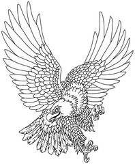  American whitehead bald eagle. Landing attacking prey bird.  Tattoo style outline vector illustration
