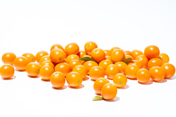 新鮮果物　金柑