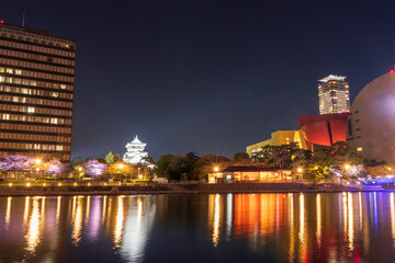 Fototapeta na wymiar 小倉中心街夜の紫川と勝山公園の眺め